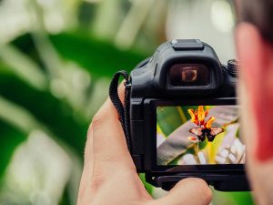 Komunitas Fotografer Muda Indonesia Makin Berkembang Pesat